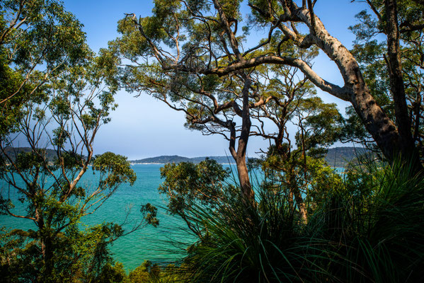 Mackarel Track zum Resolute Beach, Kuring-gai National Park - Aussicht auf die Bucht