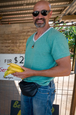 Bananenplantage kurz vor Mission Beach