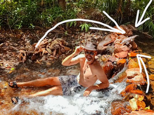 Litchfield Nationalpark - ein Bad am Walker Creek - ein Krokodil ist auch da!