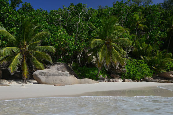 Anse Georgette