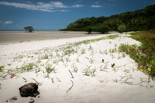 moremilu-Beach