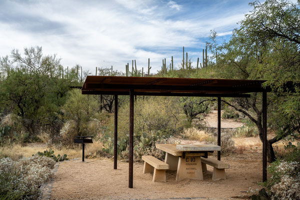 Sabino Canyon - Cactus Picnic Area
