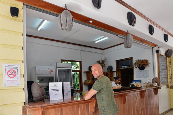 Vallée de Mai - im Nationalpark-Kaffee