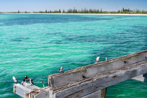 Busselton Jetty