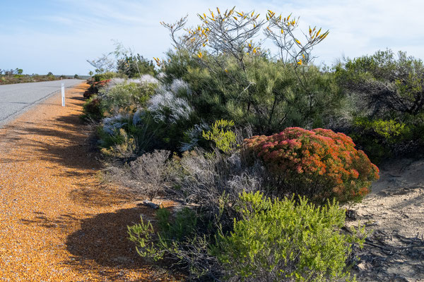 Kalbarri Nationalpark