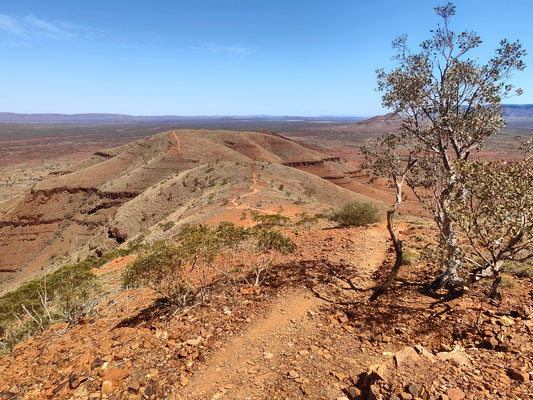 Wanderung Mount Bruce, Karijini National Park 