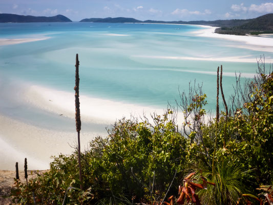 Hill Inlet, Whitsunday Island - Aussicht vom Lookout
