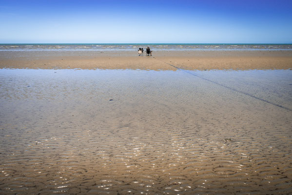 Wonga Beach bei Ebbe