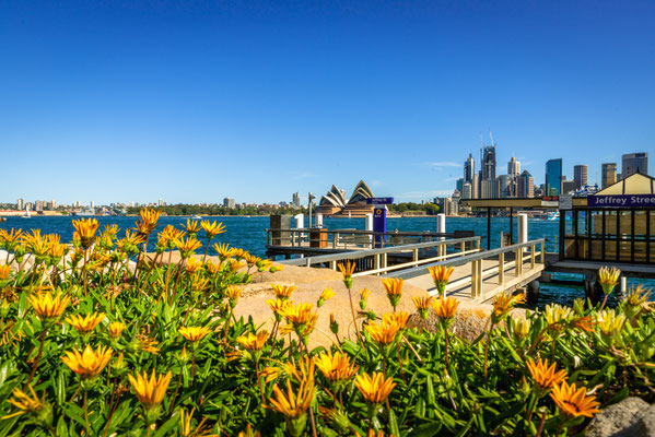 Kirribilli Boardwalk 