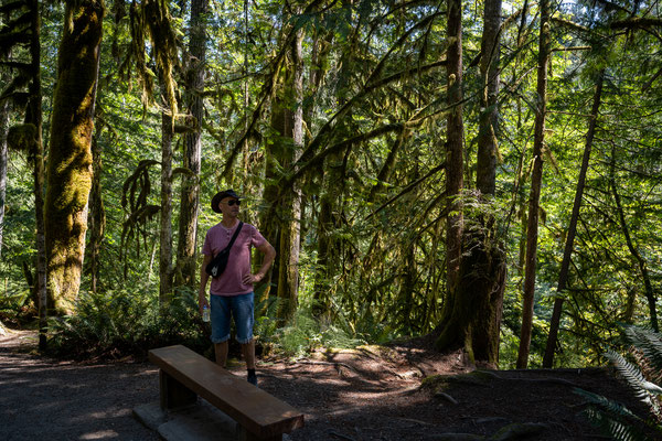 Englishman River Falls Provincial Park - Rundwanderung