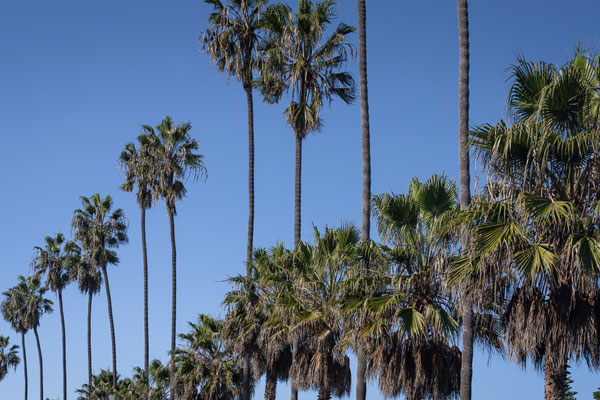 La Jolla, San Diego