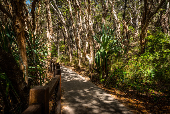 Noosa Heads National Park - Coastal Walk