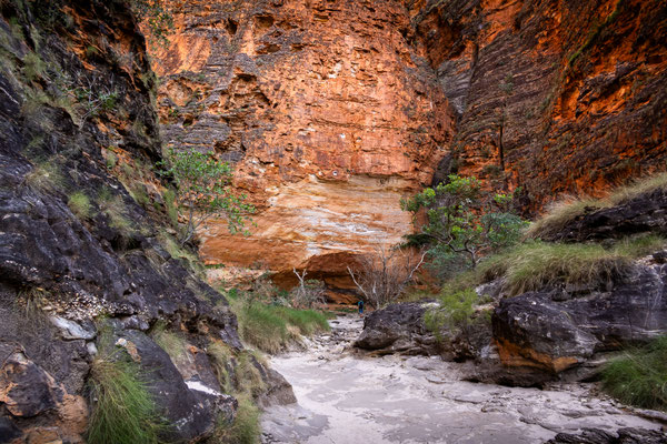 Purnululu Nationalpark, Südteil - Whip Snake Walk
