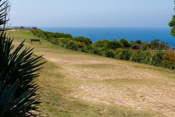 Coastal Cliff Walk - Rodney Reserve, Dover Heights