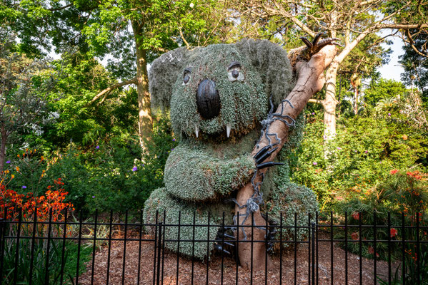 Royal Botanic Garden - Halloween