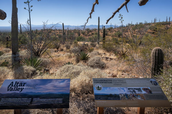 Sonora Desert Museum, Tucson