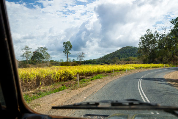 Auf dem Weg nach Airlie Beach