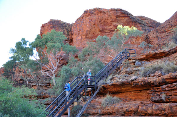 Kings Canyon Rim Walk