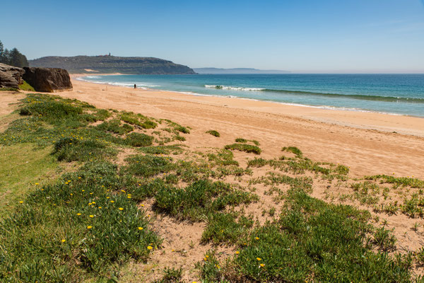 Palm Beach