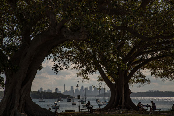 Robertson Park, Watsons Bay