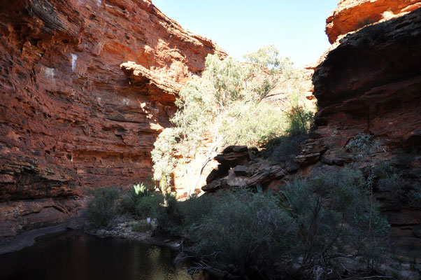 Kings Canyon Rim Walk - Garden Eden