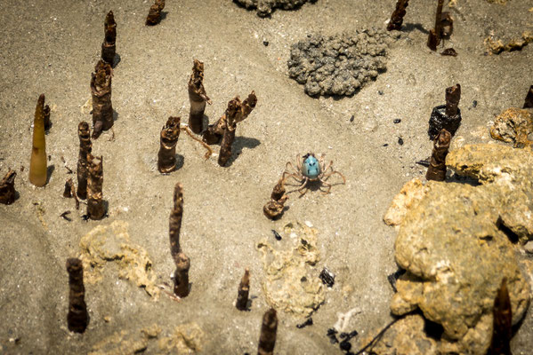 Eingeborene des moremilu-Beach