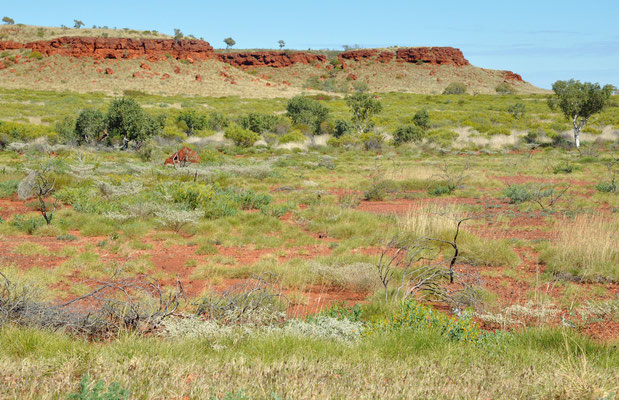 Pilbara