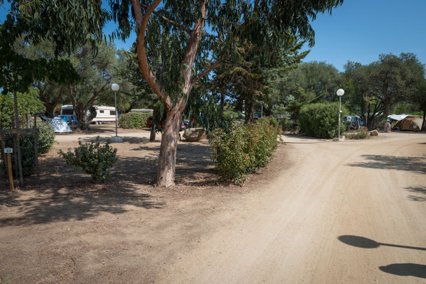 2016 - Camping 'Les Oliviers' 