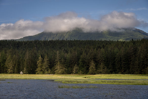 Port McNeill/Knight Inlet - Grizzly Tour mit 'Sea Wolf Adventures'