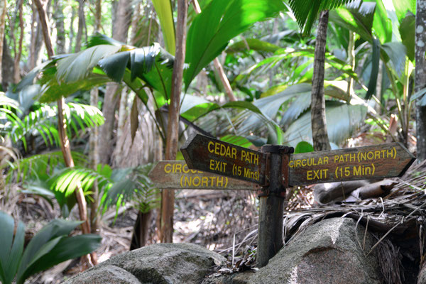 Valle de Mai