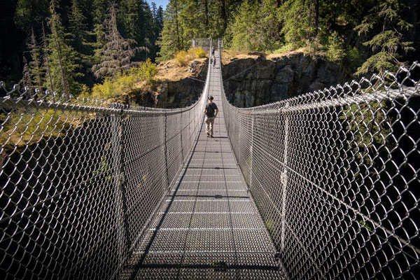 Elk River Provincial Park - Rundwanderung, die Hängebrücke über den Elk River