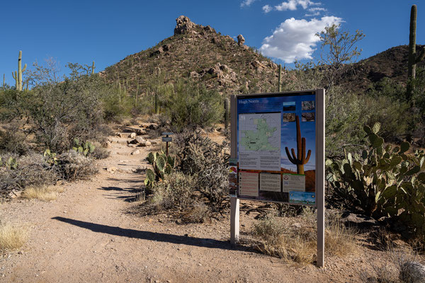 Saguaro National Park West - Hugh Norris Trail Start