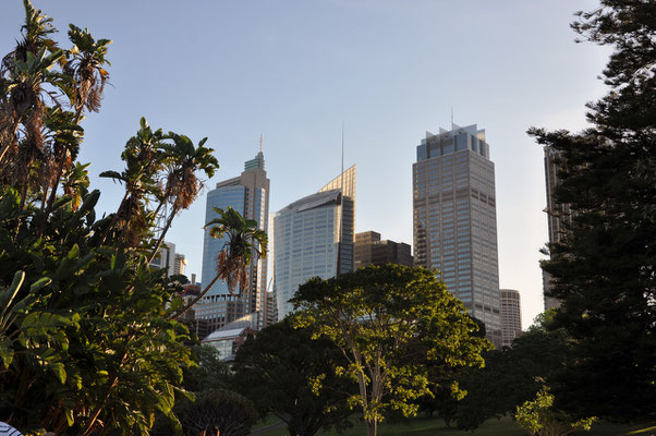 Skyline vom Botanischen Garten aus gesehen