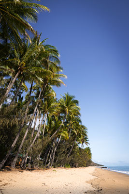 Ellis Beach