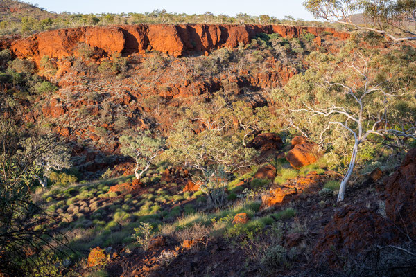 Dales Gorge, Karijini Nationalpark - Schluchtwanderung am Frühen Morgen