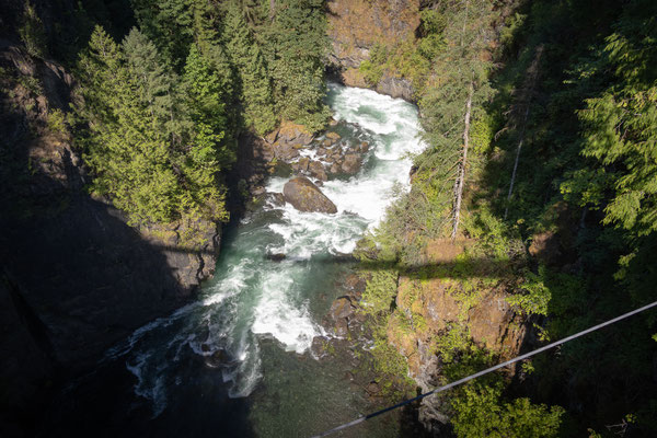 Elk River Provincial Park - Rundwanderung, die Hängebrücke über den Elk River