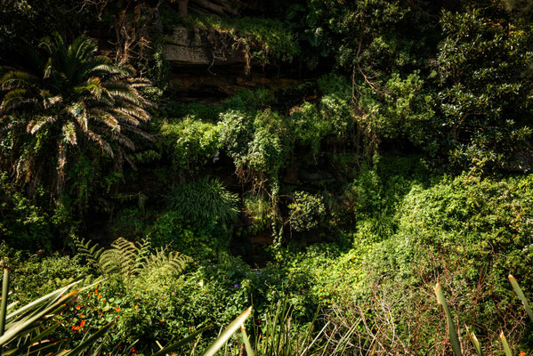 Coastal Cliff Walk - Diamond Bay Reserve