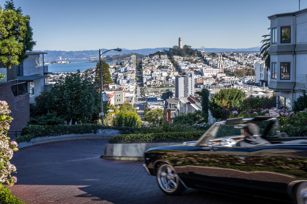 San Francisco City - Lombard Street und Telegraph Hill