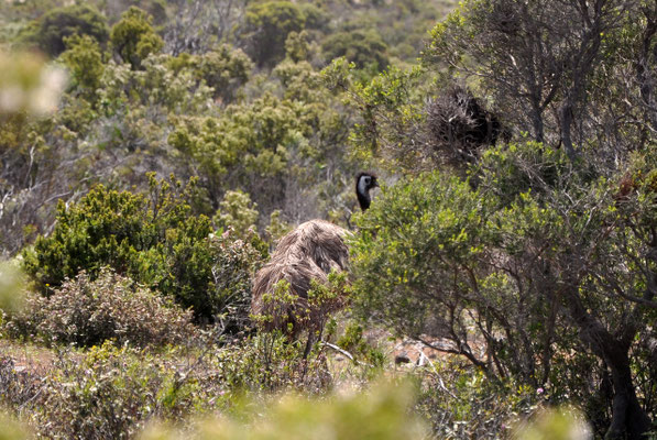 Coffin Bay National Park