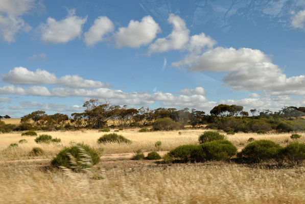 Landschaft Richtung Streaky Bay