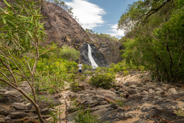 Wujal Wujal Falls