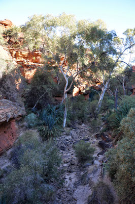 Kings Canyon Rim Walk