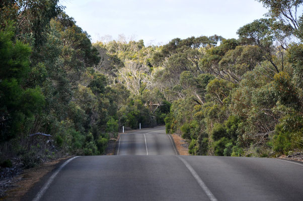 Unterwegs auf Kangaroo Island