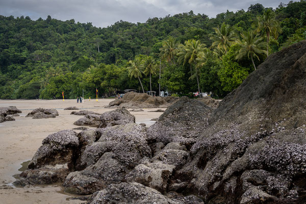 Etty Bay Beach