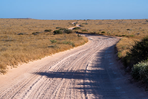 South Coastal Track/Mauds Landing-Warroora Road - wunderschöner Sandtrack