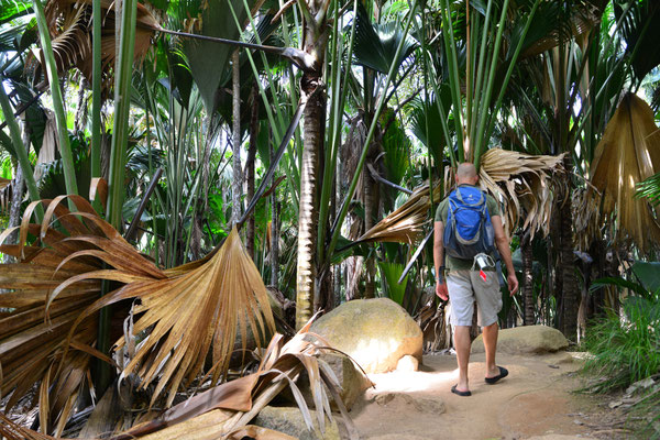Vallée de Mai