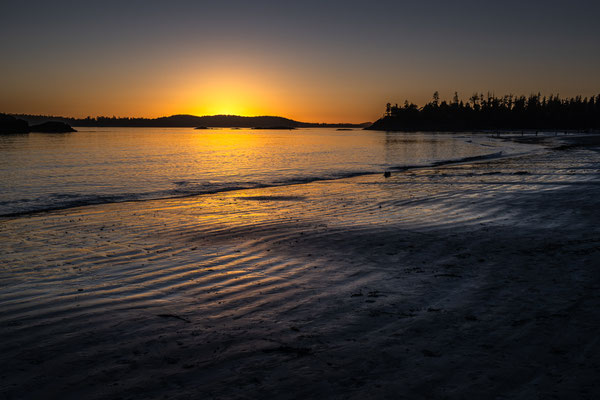 Tofino - MacKenzie Beach