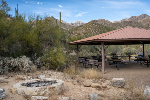 Sabino Canyon - Cactus Picnic Area