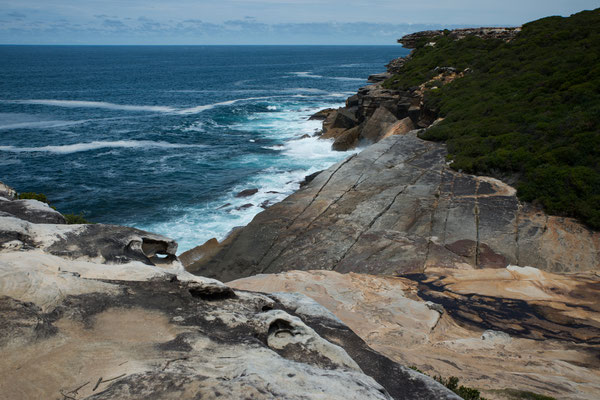 Royal National Park