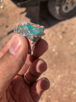 Grawin - Black Opal auf dem 'Dump' gefunden!